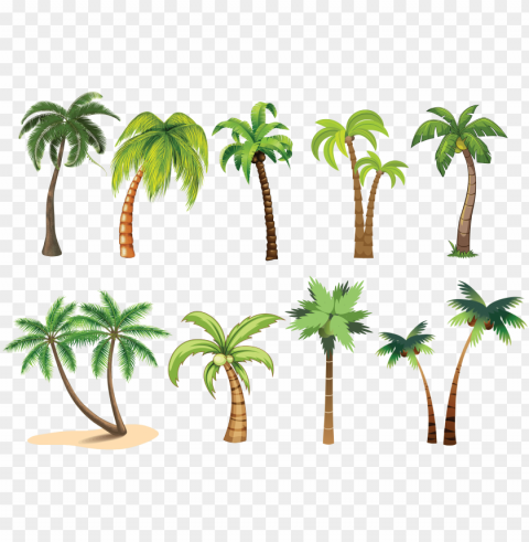 trees - palm tree clip art PNG with no bg