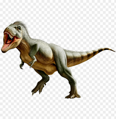 trex - t rex real appearance PNG format