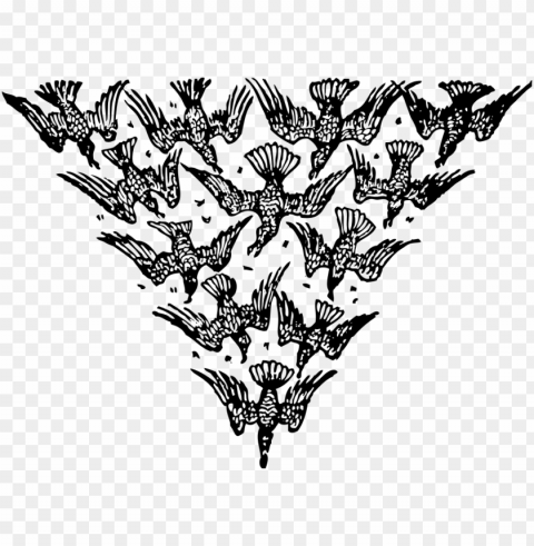 triangle of birds PNG transparent graphic
