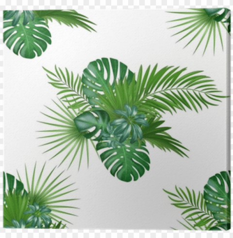 tropical with jungle plants - jungle plants PNG clear background