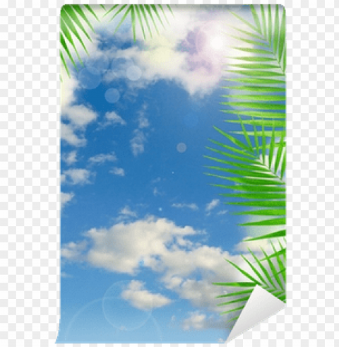 tropical background with lens flare effect wall mural - light switch Isolated Subject in HighQuality Transparent PNG