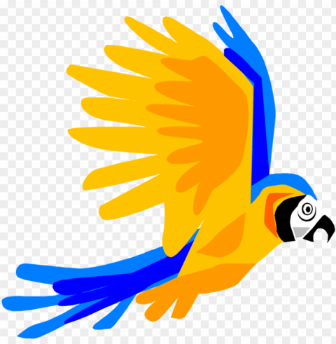 tropical birds flying cartoon Isolated Object with Transparent Background in PNG