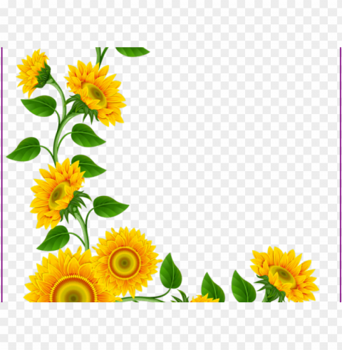 tropical clipart border - sunflower clipart PNG transparent backgrounds PNG transparent with Clear Background ID 6f31345d