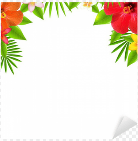 tropical flower border transparent PNG Image with Clear Isolated Object