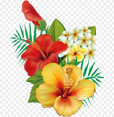 tropical flower watercolor clip art royalty free - tropical hawaiian flower Transparent PNG images database