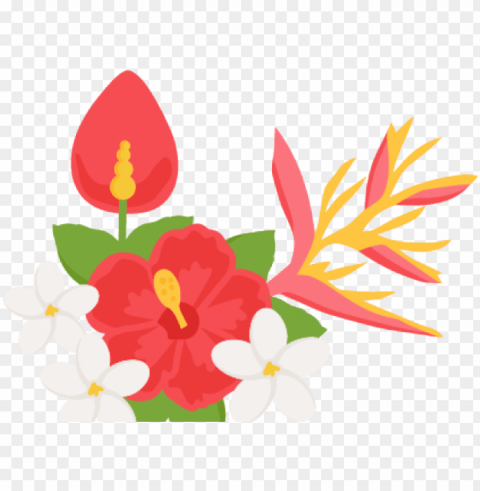 tropical flower border clipart Clear Background PNG Isolated Item