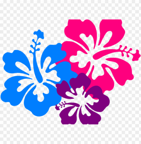 tropical flowers clipart - clip art hawaii flower PNG files with transparent backdrop complete bundle