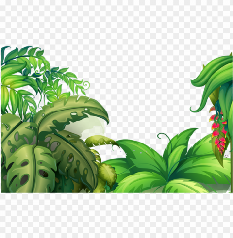 tropical flowers tropical flowers vector flowers - tropical flowers Isolated Character in Transparent PNG Format