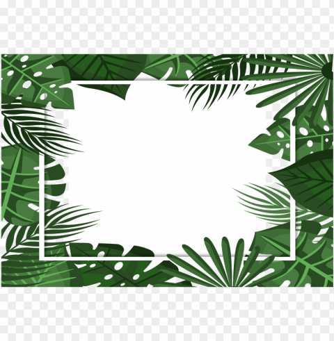tropical frame no shadow - illustratio PNG with Isolated Object and Transparency