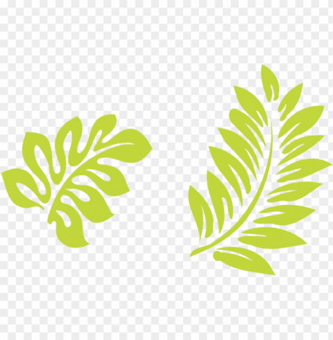 tropical leaf clip art Isolated Subject on Clear Background PNG