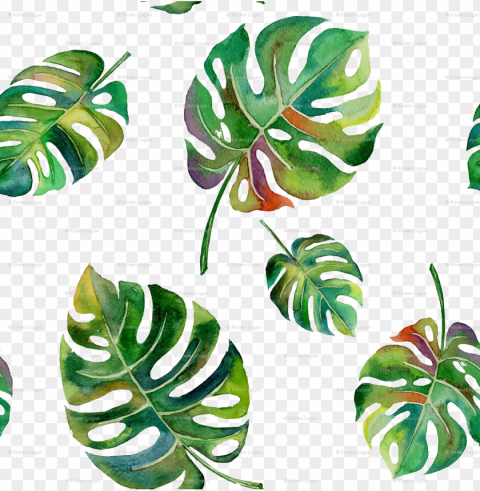 tropical leaf watercolor jpg - watercolor palm Transparent PNG Isolated Element with Clarity
