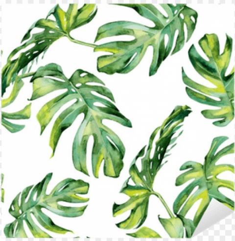 tropical leaves watercolor free PNG files with clear backdrop collection