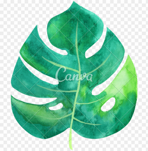 tropical leaves watercolor image library download - tropical leaf watercolor Transparent background PNG photos
