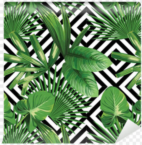 tropical palm leaves pattern geometric background - palm leaves PNG transparent graphic