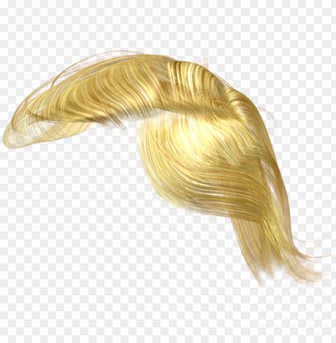 trump hair clipart stock - trump's hair transparent PNG images without restrictions