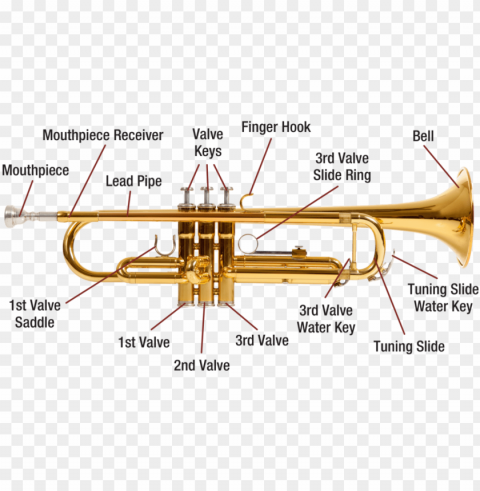 trumpet diagram image - labelled diagram of a trumpet ClearCut Background PNG Isolation