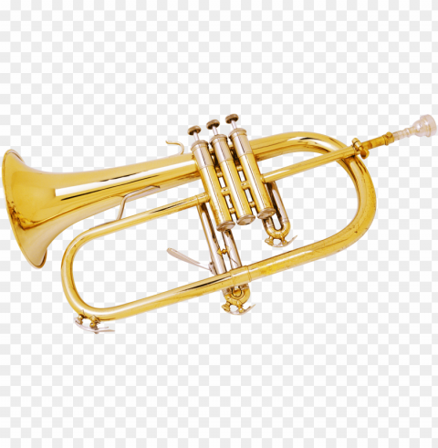 trumpet PNG Image with Clear Isolated Object