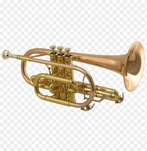 trumpet PNG images with alpha background