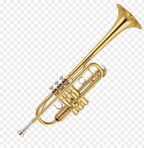 trumpet PNG images with no background free download