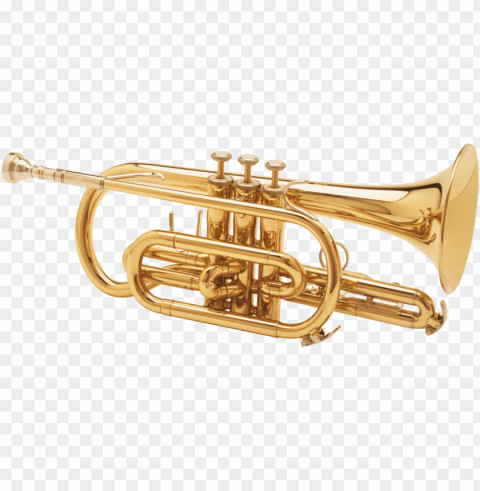 trumpet PNG images with no background necessary