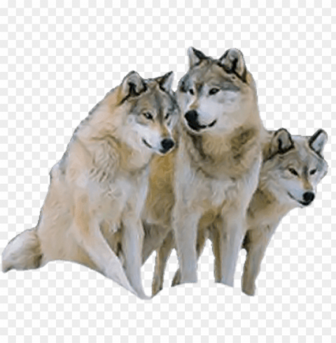 tube loup High-resolution transparent PNG images