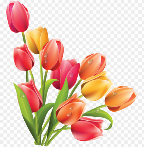 tulip clipart bucket flower - spring flowers PNG design elements