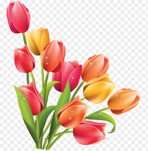 Tulip Clipart Bucket Flower - Spring Flowers PNG Design Elements