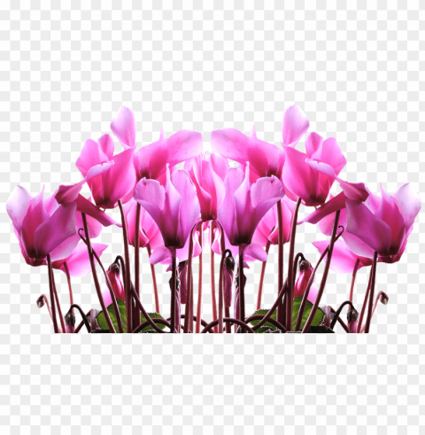 tulip stencil 25 - happy mothers day 2018 PNG graphics for free