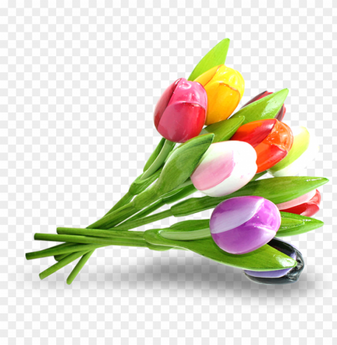 tulips bouquet Transparent PNG download