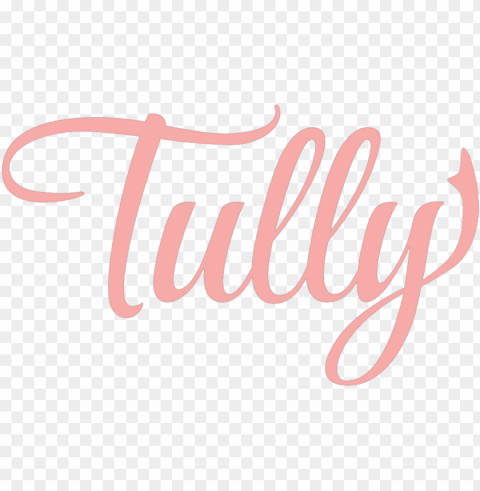 tully movie banner PNG photo with transparency