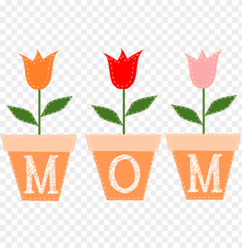 tulpen blumen töpfe blätter frühling -for mother's day PNG for digital art