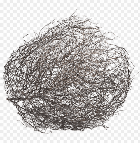 tumbleweedlayers - tumbleweed drawi Isolated PNG Object with Clear Background