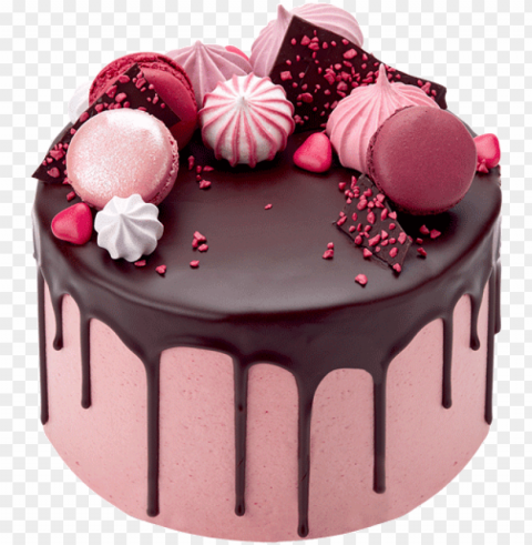 tumblr clipart cake - pink cake chocolate dri PNG transparent images for printing