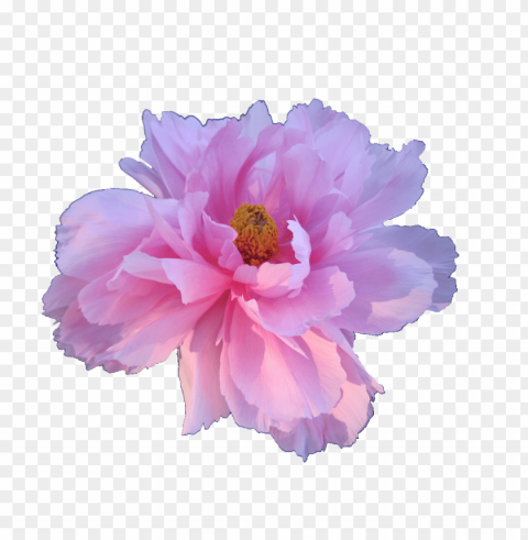 tumblr flowers Transparent PNG images for design PNG transparent with Clear Background ID 9616405e