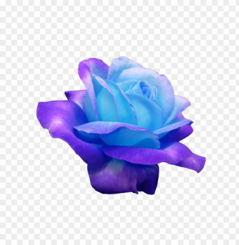 Tumblr Flowers Transparent PNG Isolated Illustration