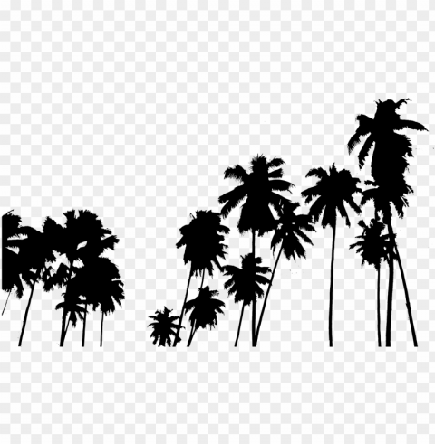 Tumblr - Palm Tree Wallpapers For Iphone PNG Clip Art Transparent Background