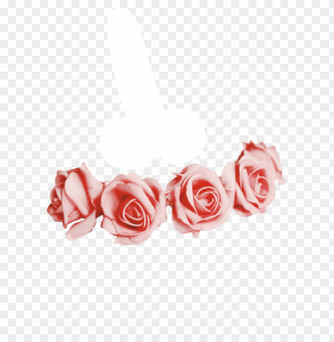 tumblr flower crown PNG Image Isolated on Transparent Backdrop