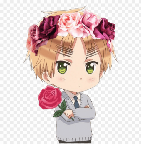 tumblr flower crown PNG Image Isolated with Transparent Clarity PNG transparent with Clear Background ID 1ab320cf