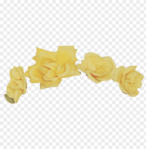 tumblr flower crown PNG Image Isolated with Transparent Detail