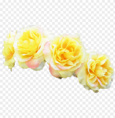 tumblr transparent flower crown PNG Image with Clear Isolation