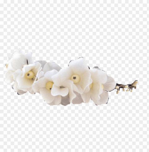 tumblr transparent flower crown PNG Image with Isolated Element