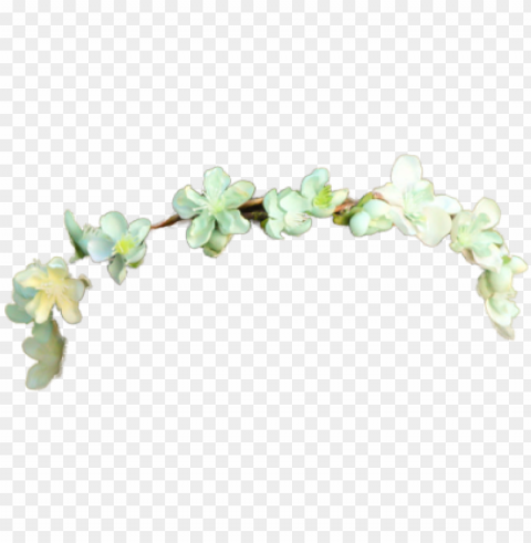 tumblr tumblr crown crown flower pack flower - flower crown Isolated Artwork on Clear Background PNG