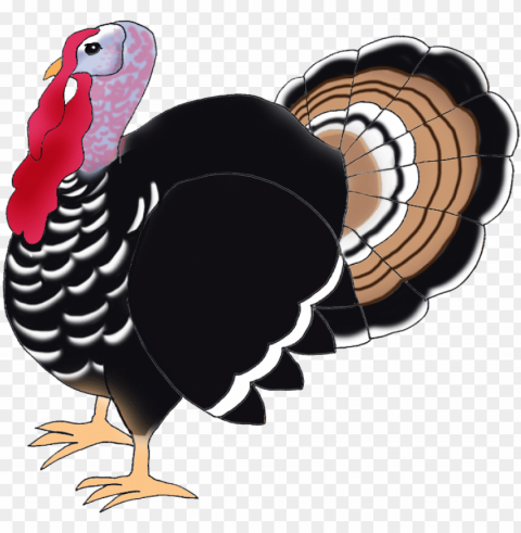 turkey bird Transparent PNG images with high resolution