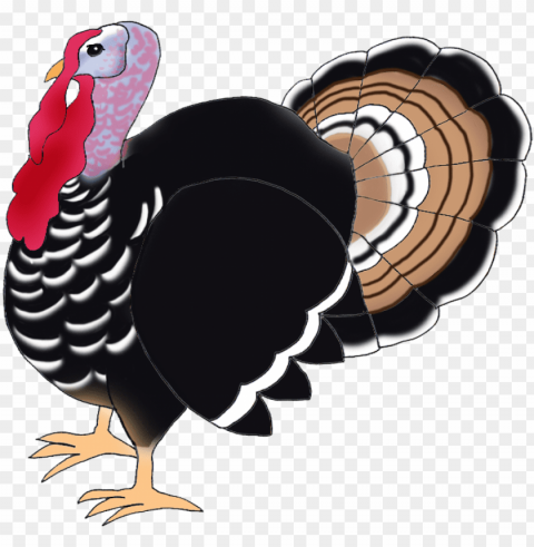 Turkey Bird Transparent PNG Images With High Resolution