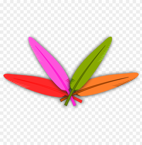 turkey feathers Isolated Character in Transparent PNG