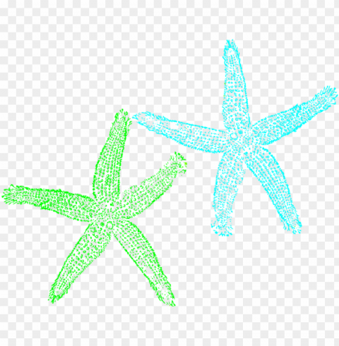 turquoise and lime green starfish svg art Clear background PNG clip arts