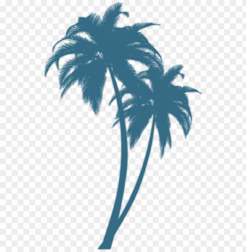turquoise palm - palm tree silhouette Clear background PNG clip arts