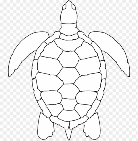 turtle shell pattern drawi PNG images with transparent backdrop