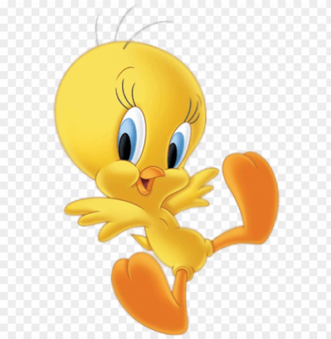 tweety Isolated Object on HighQuality Transparent PNG