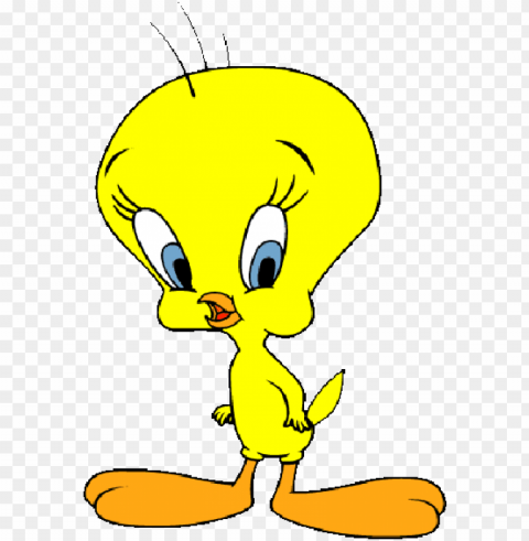 tweety bird vector with PNG with transparent background for free